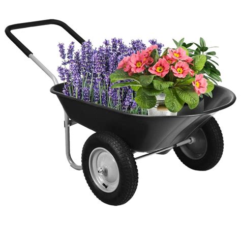 IRONMAX Garden Dual-Wheel Wheelbarrow, Heavy Duty Utility Yard Cart w ...