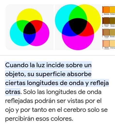 C Mo Podr As Explicar La Formaci N De Los Colores Brainly Lat