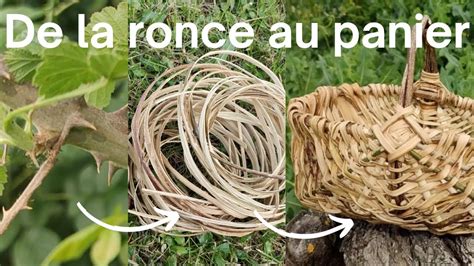 Comment préparer des éclisses de ronces pour fabriquer des paniers