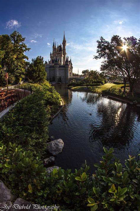 Pin By Lauren On Disney Disney Cinderella Castle Disney World