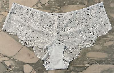 New Victoria Secret Dream Angels Chantilly Lace Cheeky Panty Pastel