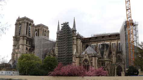 Odbudowa Notre Dame Plany budzą kontrowersje Wiadomości