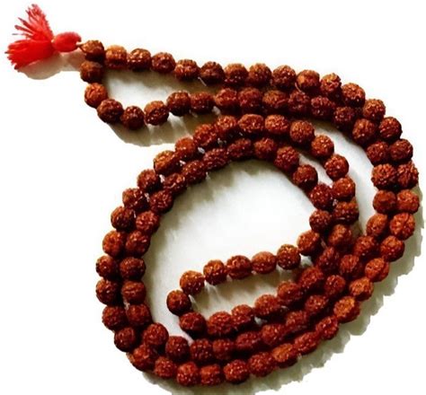 Natural Rudraksha Mala Spiritual Use Pooja At Rs 40 In Agra ID