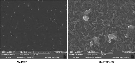 Design And Development Of A Fluorometric And Colorimetric Sensor For