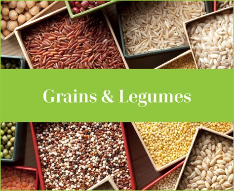 Grains And Legumes Healthy Food Guide