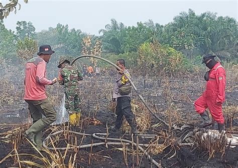 Sejumlah Hotspot Potensi Karhutla Terdeteksi Di Sumatera Titik Di Riau