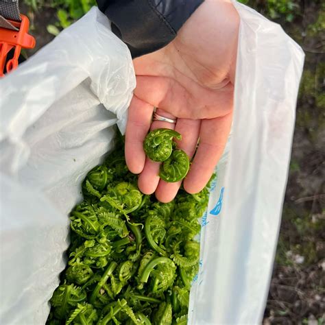 Local law enforcement explains how dubuque arrests keep streets safe 3