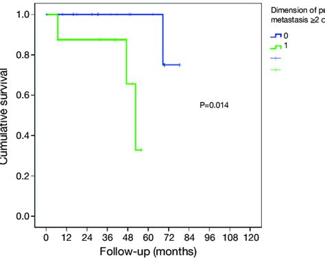 Overall Survival From First Pulmonary Metastasectomy Figure 2 Log Rank