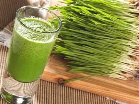 Nutritional Facts About Wheat Grass Juice Nattfru