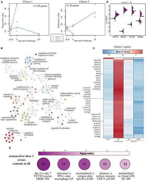 Frontiers Vsv Ebov Induces Temporal And Dose Dependent