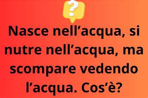 Indovinello Del Giorno Qual Il Misterioso Essere Che Nasce Nell