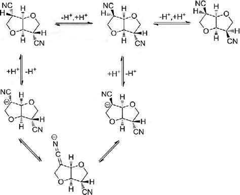 Scheme Deprotonation Reprotonation Epimerization Pathway Of