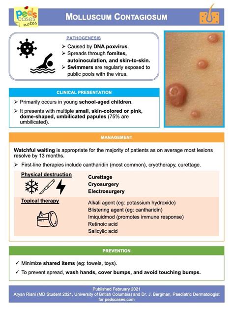 Molusco Contagioso Dr Julián López Pérez Click Aquí