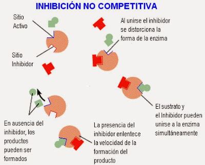 Biolog A Bach Noviembre