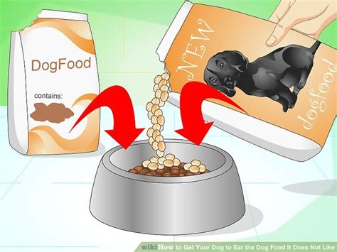 How to Get Your Dog to Eat the Dog Food It Does Not Like: 14 Steps