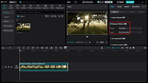 Best 2 Methods To Remove Light Flicker From Videos