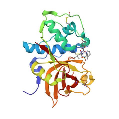 RCSB PDB 2FTD Crystal Structure Of Cathepsin K Complexed With 7