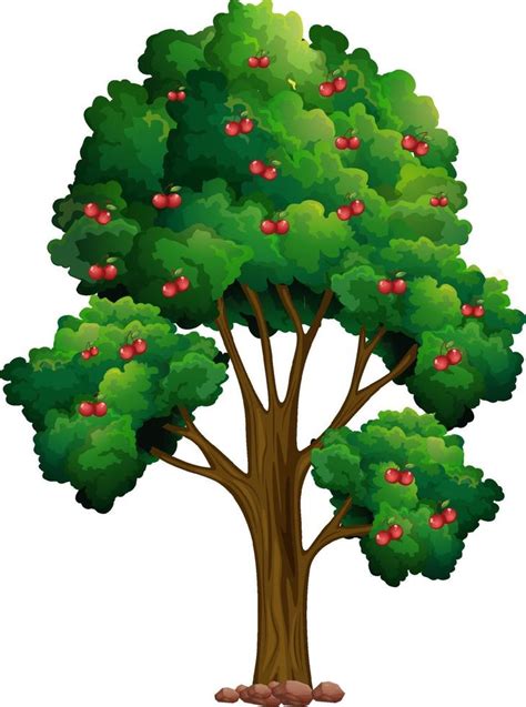 Cherry tree isolated on white background 2085666 Vector Art at Vecteezy