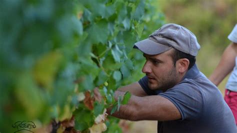 Domaine Des Conquetes Route Des Vins Languedoc Roussillon Aniane