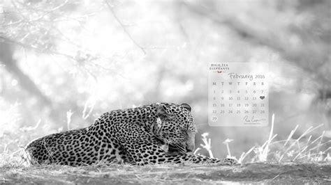 February Calendar 2016 Wallpapers - Wallpaper Cave