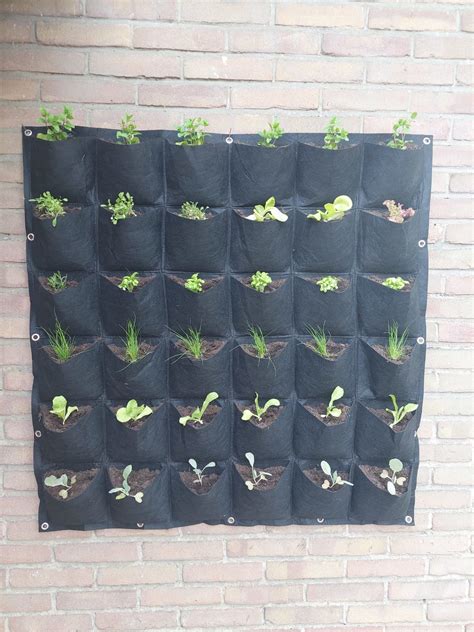 Moestuinplant Nl Hangende Verticale Tuin Hangzak Met 36 Vakken