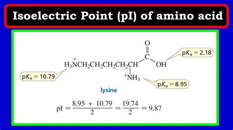 Calculation of Isoelectric Point (pI) of amino acid - YouTube