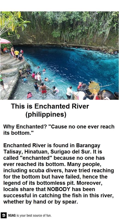 Enchanted river | Beautiful places to travel, Cool places to visit ...