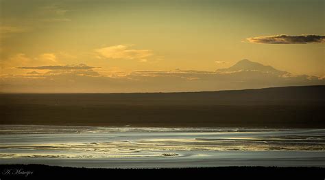 Denali Mountain Range Photograph by Andrew Matwijec - Fine Art America