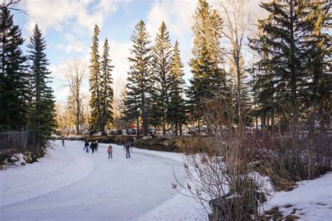 Skating At Bowness Park Everything You Need To Know