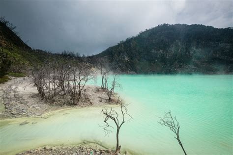 Entrance Ticket To Kawah Putih Boris Bower