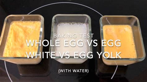 Test Egg Yolk VS Egg White VS Whole Egg With Water Baking