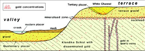 Diagrammatic Profile With The Various Features Of Gold Mineralization