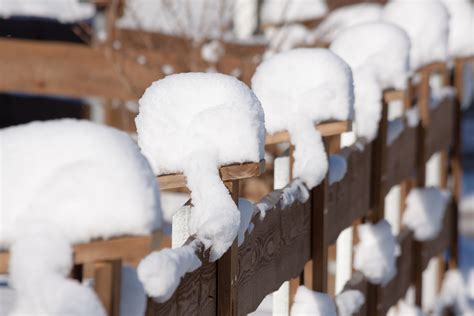 Fotos Gratis Fr O Invierno Cerca Blanco Clima Nevado Temporada