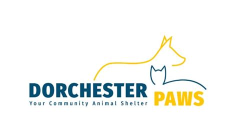 Dorchester Paws welcomes new executive director