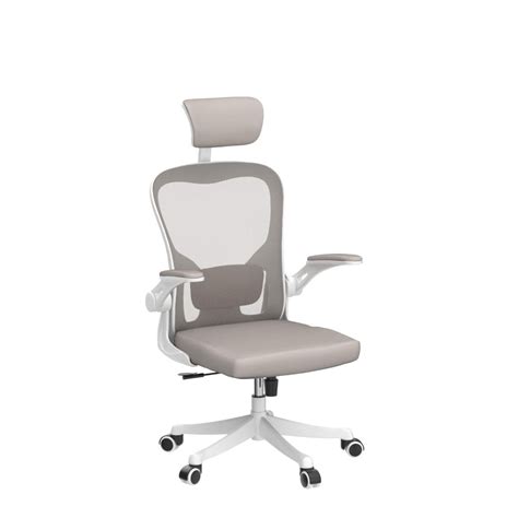 Monhey Ergonomic Office Chair Adjustable Height With Lumbar Support