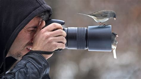 Best cameras for wildlife photography 2022: The sharpest and fastest ...