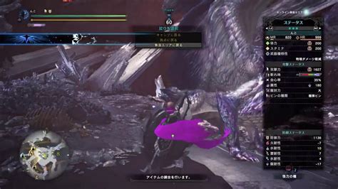 六花が静かに眠るなら MHWソロTAまとめ モンスターハンターワールド アイスボーン攻略