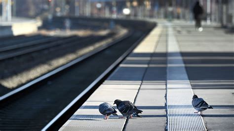 Niedersachsen Bahn Streik Vorzeitig Beendet Z Ge Rollen Bald Wieder