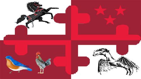 Northeastern- Non New England Regional Flag : r/flags