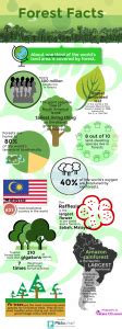 Infographic Malaysian Forest Facts