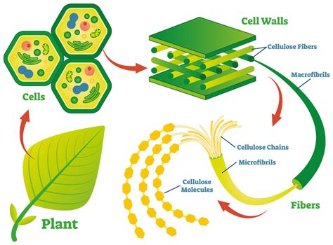 Unit C Environmental Chemistry I — Kurpinski S Class