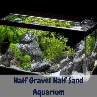 Half Gravel Half Sand Aquarium – Simple Setup Guidelines