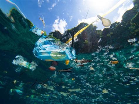 Descontaminaci N Del Agua Qu Es M Todos E Importancia