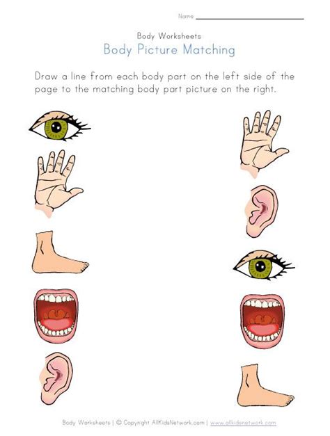 Body Parts Activity For Kindergarten