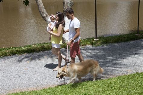 Veja As Vantagens De Se Hospedar Em Um Hotel Fazenda Na Semana Park