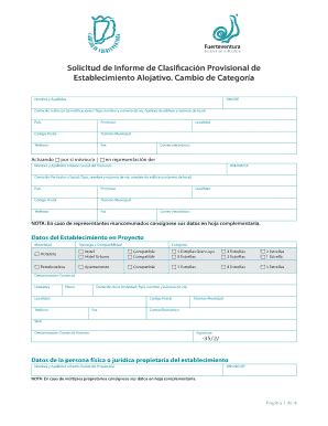 Completable En línea cabildofuer Solicitud de Informe de Clasificacin