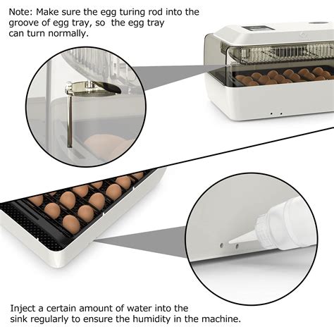 Life Basis Incubadora automática de huevos con control de temperatura