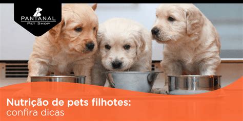 Pets Filhotes Entenda A Import Ncia Da Nutri O Nessa Fase