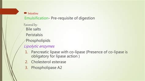 Digestion And Absorption Of Lipids Ppt