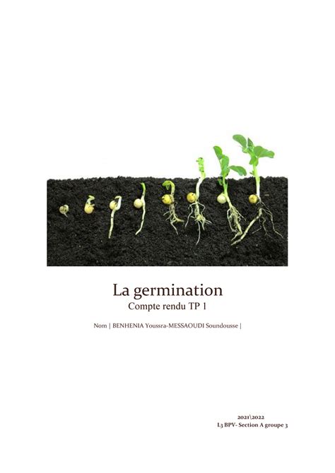 La Germination Dormance Et Inhibition La Germination Compte Rendu